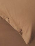 Federa Zucchi - cacao - 1