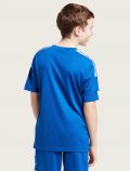 T-shirt manica corta sportiva Adidas - royal - 3