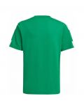 T-shirt manica corta sportiva Adidas - green - 2