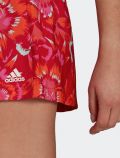 Pantalone corto sportivo Adidas - red - 3