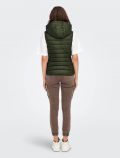 Gilet Only - forest night - 4