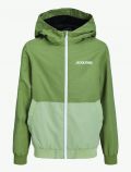 Giubbino Jack & Jones - olio green - 4