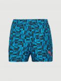 Boxer mare Puma - blue - 0