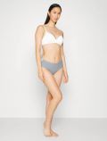 Slip Triumph - grey - 2