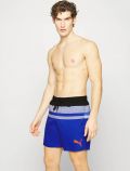 Boxer mare Puma - blue - 0