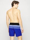 Boxer mare Puma - blue - 2