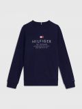 Maglia in felpa Tommy Hilfigher - blu - 0