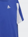 T-shirt manica corta sportiva Adidas - royal - 2