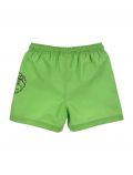 Boxer mare Disney - green - 1