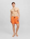 Boxer mare Jack & Jones - orange - 1