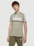 T-shirt manica corta sportiva Adidas - beige bianco - 0