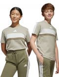 T-shirt manica corta sportiva Adidas - beige bianco - 3