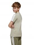 T-shirt manica corta sportiva Adidas - beige bianco - 5