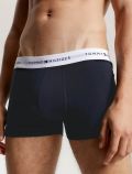 Boxer Tommy Hilfiger - blu verde - 3