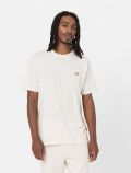 T-shirt manica corta Dickies - panna - 0