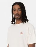 T-shirt manica corta Dickies - panna - 1