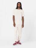 T-shirt manica corta Dickies - panna - 2