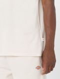 T-shirt manica corta Dickies - panna - 3