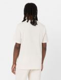T-shirt manica corta Dickies - panna - 4