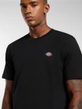 T-shirt manica corta Dickies - black - 1