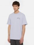 T-shirt manica corta Dickies - sky - 0