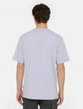 T-shirt manica corta Dickies - sky - 3