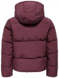 Giaccone imbottito Only - mauve - 3
