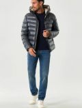 Giubbino imbottito Blauer - antracite - 2