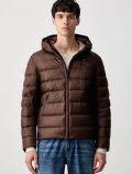 Giubbino imbottito Blauer - brown - 0