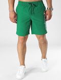 Boxer mare Champion - verde - 2