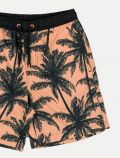 Boxer mare Losan - orange - 1