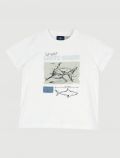 T-shirt manica corta Chicco - bianco - 0
