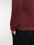 Maglia in felpa cappuccio Dickies - bordeaux - 3