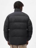 Giubbino imbottito Dickies - black - 3