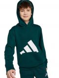 Felpa sportiva Adidas - verde - 2