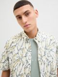 Camicia manica corta casual Jack & Jones - cloud dancer - 4