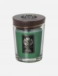 Candela Vellutier - siberian pine forest - 0