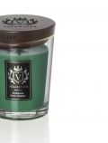 Candela Vellutier - siberian pine forest - 1