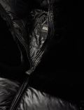 Giubbino Blauer - nero - 1