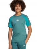T-shirt manica corta sportiva Adidas - verde - 2