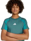T-shirt manica corta sportiva Adidas - verde - 4