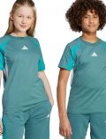 T-shirt manica corta sportiva Adidas - verde - 6