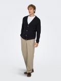 Pantalone Only & Sons - chinchilla - 3