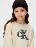 Maglia in felpa Calvin Klein - gray - 1