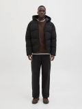 Giubbino imbottito Jack & Jones - black - 3
