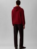 Maglia in felpa cappuccio Calvin Klein - red - 3