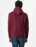 Maglia in felpa cappuccio Tommy Jeans - wine - 4