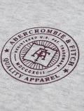 Maglia in felpa Abercrombie & Fitch - light grey - 1