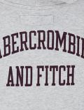 Maglia in felpa Abercrombie & Fitch - light grey - 3