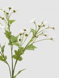 Tendenza Edg - bianco - 1